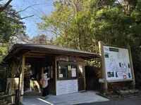 屋久島自然休養林（ヤクスギランド）の写真・動画_image_417109