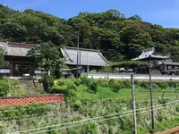 清見興国禅寺 (清見寺)の写真・動画_image_418272