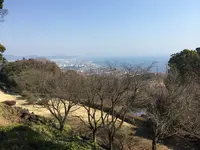 石垣山城 本丸跡の写真・動画_image_418666