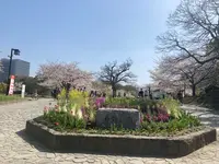 舞鶴公園の写真・動画_image_418946