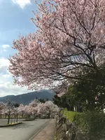 道の駅　うすずみ桜の里・ねおの写真・動画_image_420065