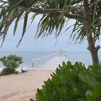 フサキビーチの写真・動画_image_421312