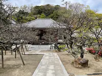 地福寺の写真・動画_image_421533