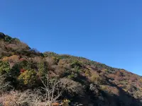 嵐山の写真・動画_image_421601