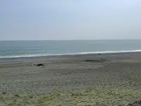 大磯こゆるぎの浜の写真・動画_image_421646