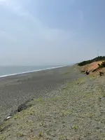 大磯こゆるぎの浜の写真・動画_image_421647