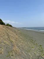 大磯こゆるぎの浜の写真・動画_image_421648