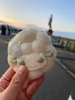 クラーク像の写真・動画_image_422278