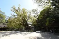 大山祇神社の写真・動画_image_423247