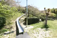 安神山わくわくパークの写真・動画_image_423457