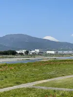 酒匂川の渡しの碑の写真・動画_image_424900