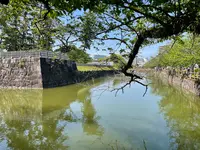 小田原城の写真・動画_image_424934