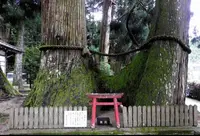 室生龍穴神社の写真・動画_image_426026