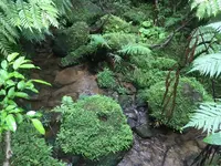 カンピレーの滝の写真・動画_image_426595