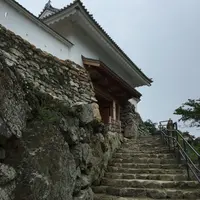浜松城の写真・動画_image_426680