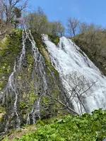 オシンコシンの滝の写真・動画_image_429799