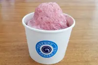 登泉堂 おおにしアシスタ店の写真・動画_image_430426