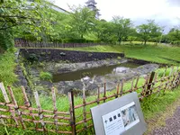 掛川城の写真・動画_image_430622