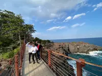 城ヶ崎海岸の写真・動画_image_430633
