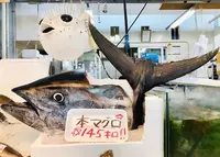 糸満漁業協同組合 お魚センターの写真・動画_image_430840