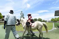 野間馬ハイランドまきば館の写真・動画_image_431392