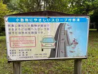 県民の森の写真・動画_image_432109