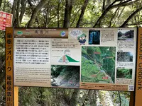 須雲川自然探勝歩道の写真・動画_image_432371