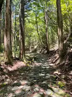 旧東海道石畳の写真・動画_image_432396