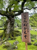 札所八番西善寺の写真・動画_image_434946