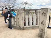 姫路城の写真・動画_image_435269