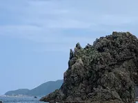青海島観光汽船の写真・動画_image_436335