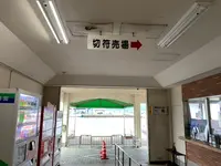 青海島観光汽船の写真・動画_image_436336