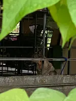 シオン警察犬訓練所の写真・動画_image_436946