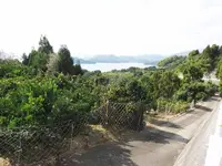 大芝大橋の写真・動画_image_438214