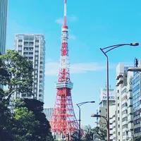 東京タワーの写真・動画_image_438252