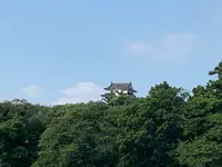 彦根城の写真・動画_image_440031