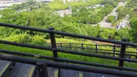 ハヌル公園/ハヌルコンウォン/하늘공원の写真・動画_image_453780