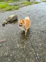 倉敷ダムの写真・動画_image_454190