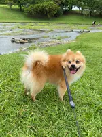 倉敷ダムの写真・動画_image_454191