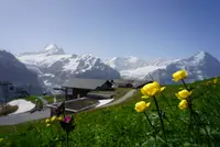 Grindelwaldの写真・動画_image_454536