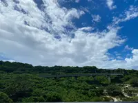 ニライカナイ橋の写真・動画_image_455444