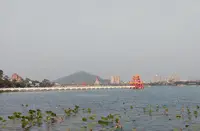 龍虎塔の写真・動画_image_455743