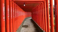 福徳稲荷神社の写真・動画_image_456327