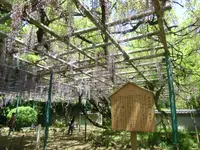 住吉神社の写真・動画_image_456861