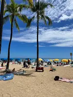 Moku Hawaiiの写真・動画_image_457632