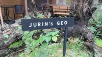 Jurin's Geoの写真・動画_image_458166