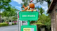 Jimmy Parkの写真・動画_image_459348