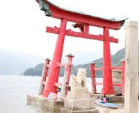 岩子島 厳島神社 の写真・動画_image_460503