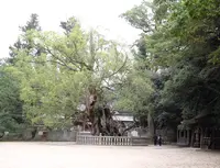 大山祇神社の写真・動画_image_460508