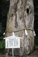 大山祇神社の写真・動画_image_460510
